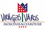 A gótikus eredetű épületben a Hansági Múzeum iparművészeti kiállítása, a XIX-XX. századi magyar festészet remekműveit (Munkácsy, Rippl-Rónai, Vaszary stb.