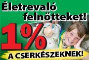 Távozásunkkor tiszta cserkészotthont hagytunk magunk után. Én negyed egykor indultam haza, ekkor a gyerekek még javában beszélgettek, Szén játszott velük.