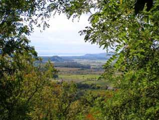 108 Vargha: Magyarország Tardigrada lelőhelyei a b 3. ábra. Medveállatka élőhelyek a Balaton térségében: a) Monoszló, b) Tihanyi félsziget, Balaton part, c) Szentbékkála: mohás kő (fotó: Vargha B.