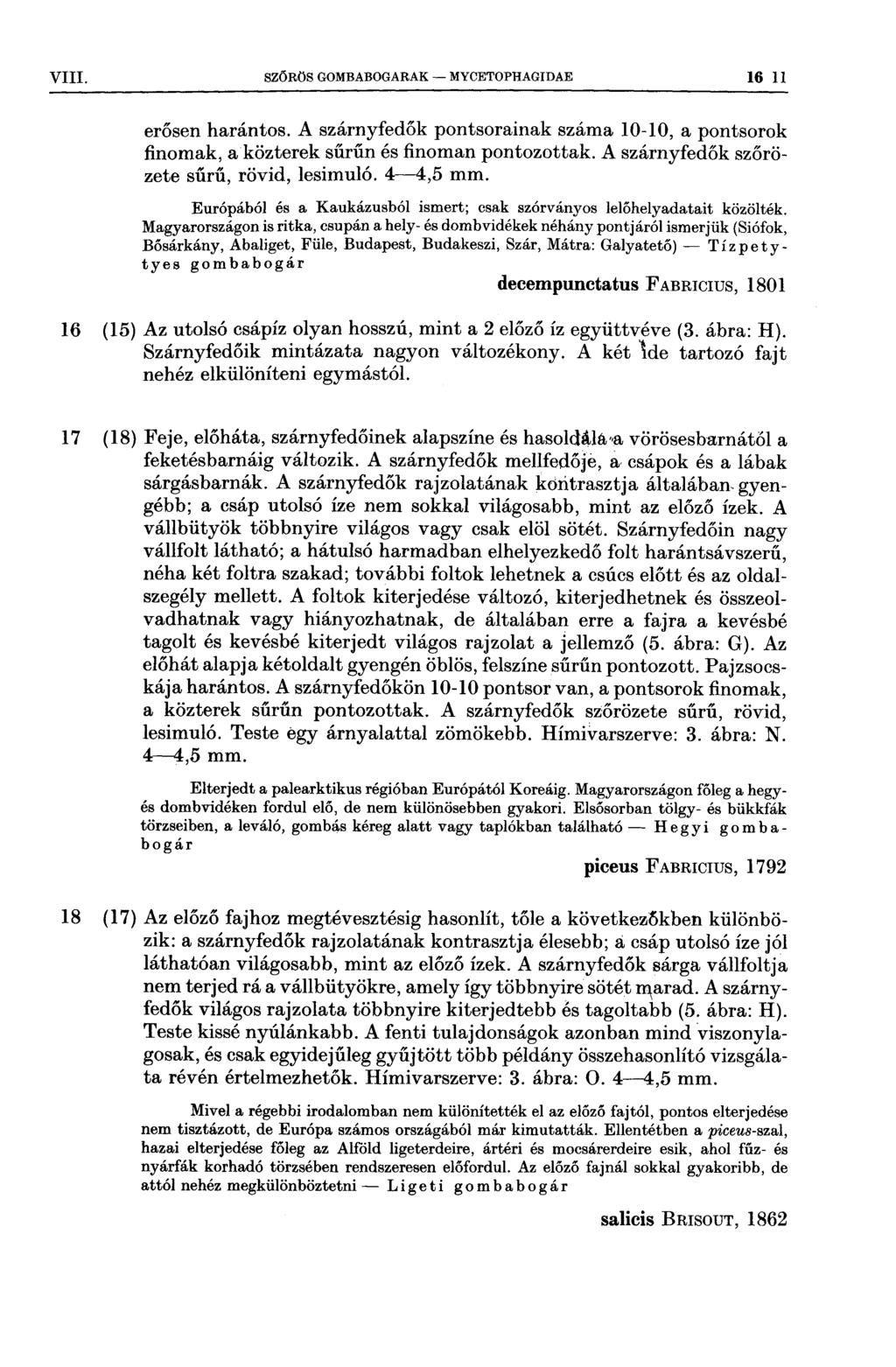 VIII szoaos GOMBABOGARAK MYOETOPHAGIDAE 16 ll 18 (15) 17 (18) 18 (17) erősen harántos A szárnyfedők pontsorainak száma 1010, a pontsorok finomak, aközterek sűrűn és finoman pontozottak A szárnyfedők