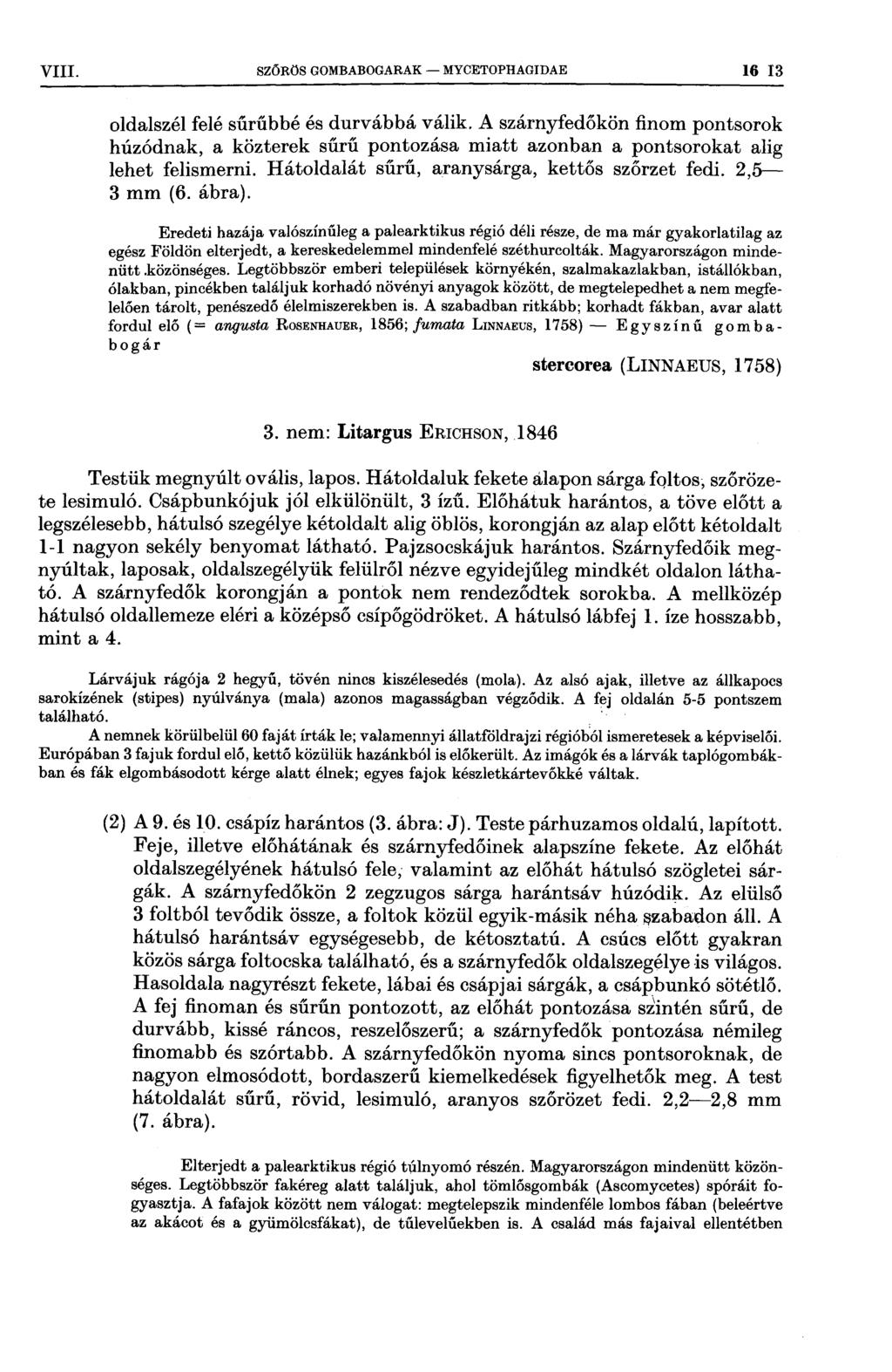 VI1I szoros GOMBABOGARAK MYOETOPHAGIDAE 16 l`3 oldalszél felé sűrűbbé és durvábbá válik A szárnyfedőkön finom pontsorok húzódnak, a közterek sűrű pontozása miatt azonban a pontsorokat alig lehet