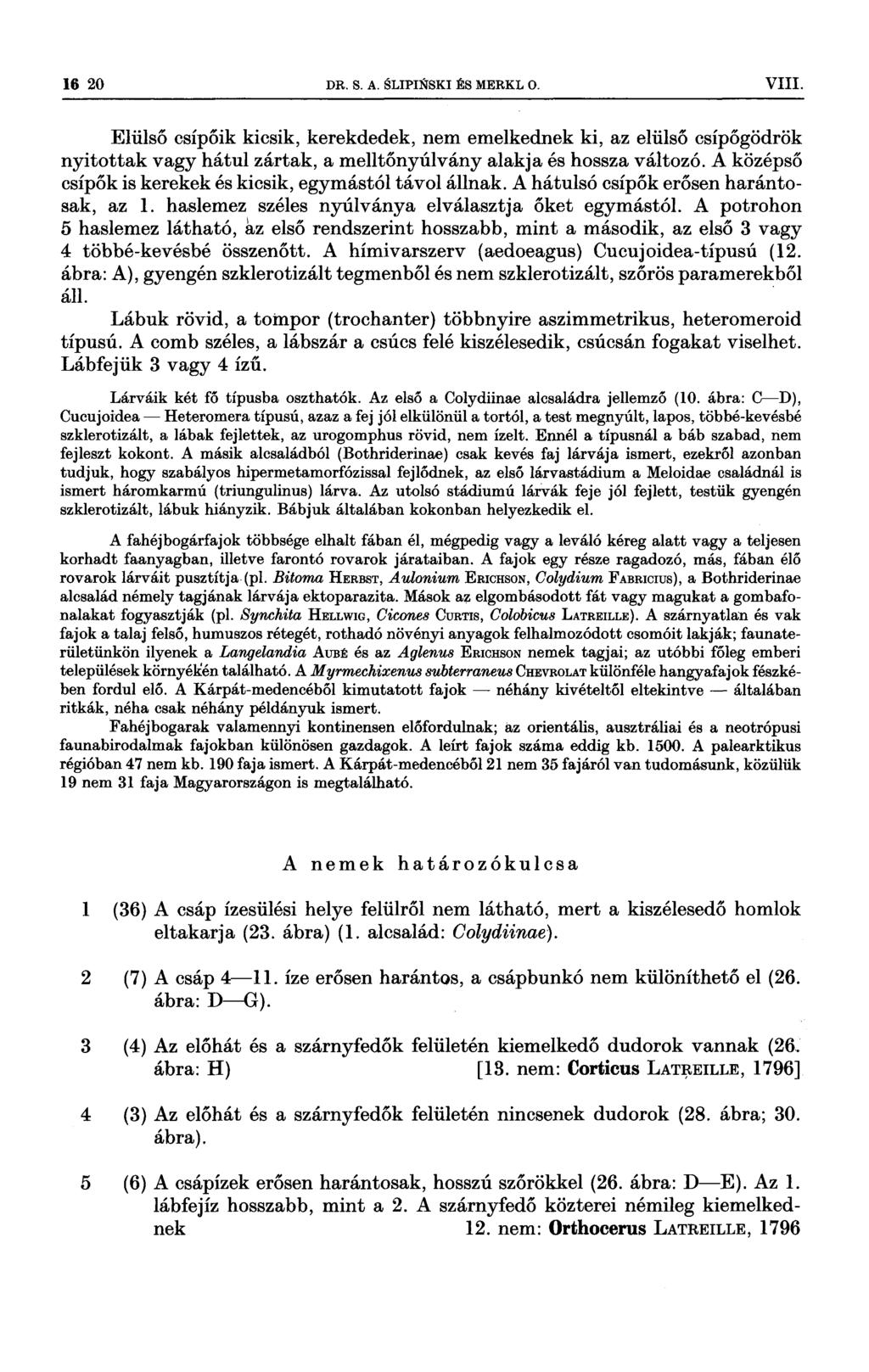 16 20 DR s A sl1pn<tski Es MERKL o VIII Elülső csípőik kicsik, kerekdedek, nem emelkednek ki, az elülső csípőgödrök nyitottak vagy hátul zártak, a melltőnyúlvány alakja és hossza változó A középső