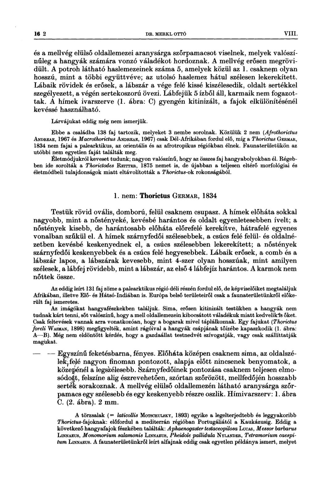 ˇ 16 2 DR MERKL OTTÓ VIII és a mellvég elülső oldallemezei aranysárga szőrpamacsot viselnek, melyek valószínűleg a hangyák számára vonzó váladékot hordoznak A mellvég erősen megrövidült A potroh