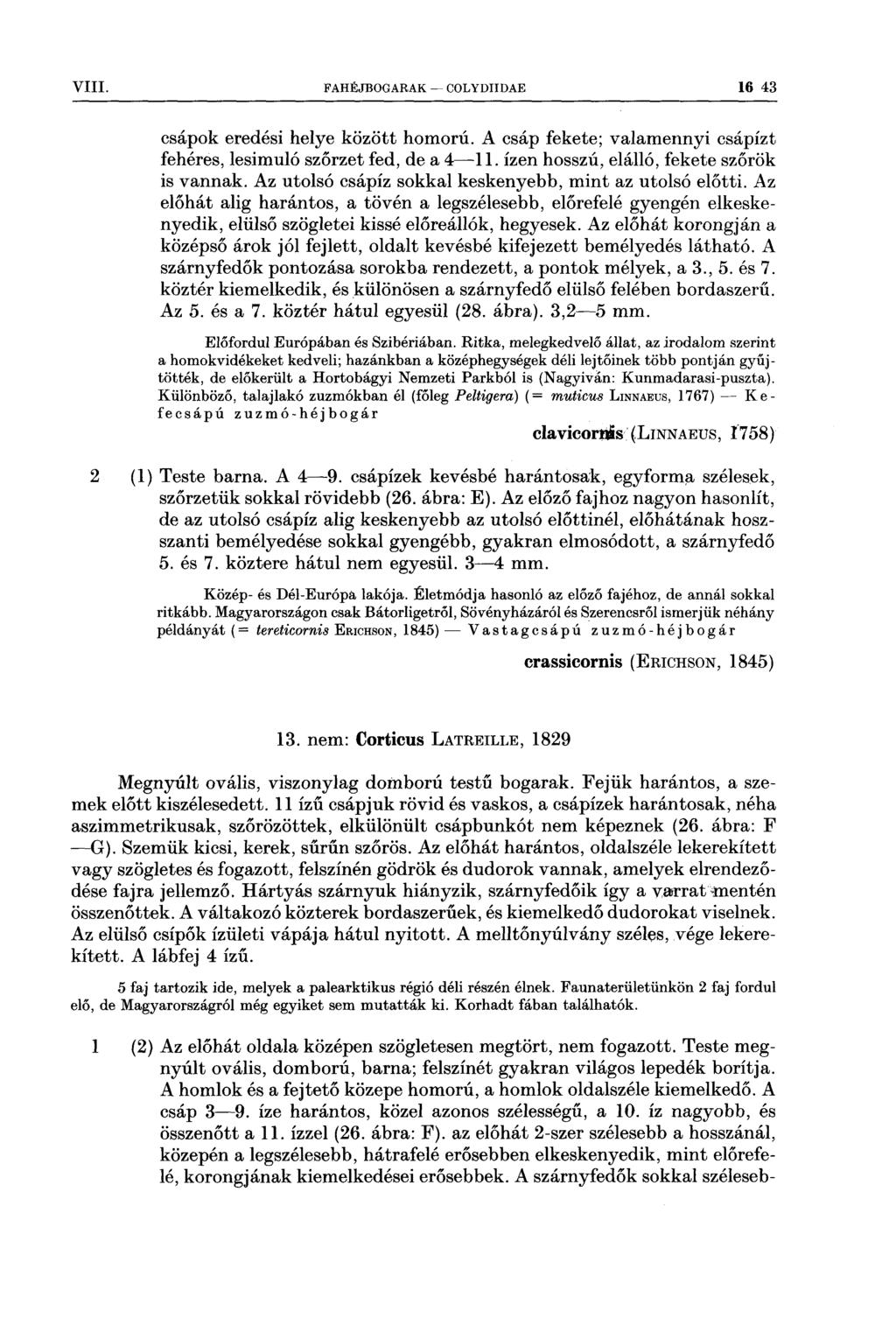 VIII FAHÉJBOGARAK OOLYDIIDAE 16 43 csápok eredési helye között homorú A csáp fekete; valamennyi csápízt fehéres, lesimuló szőrzet fed, de a 41 1 ízen hosszú, elálló, fekete szőrök is vannak Az utolsó