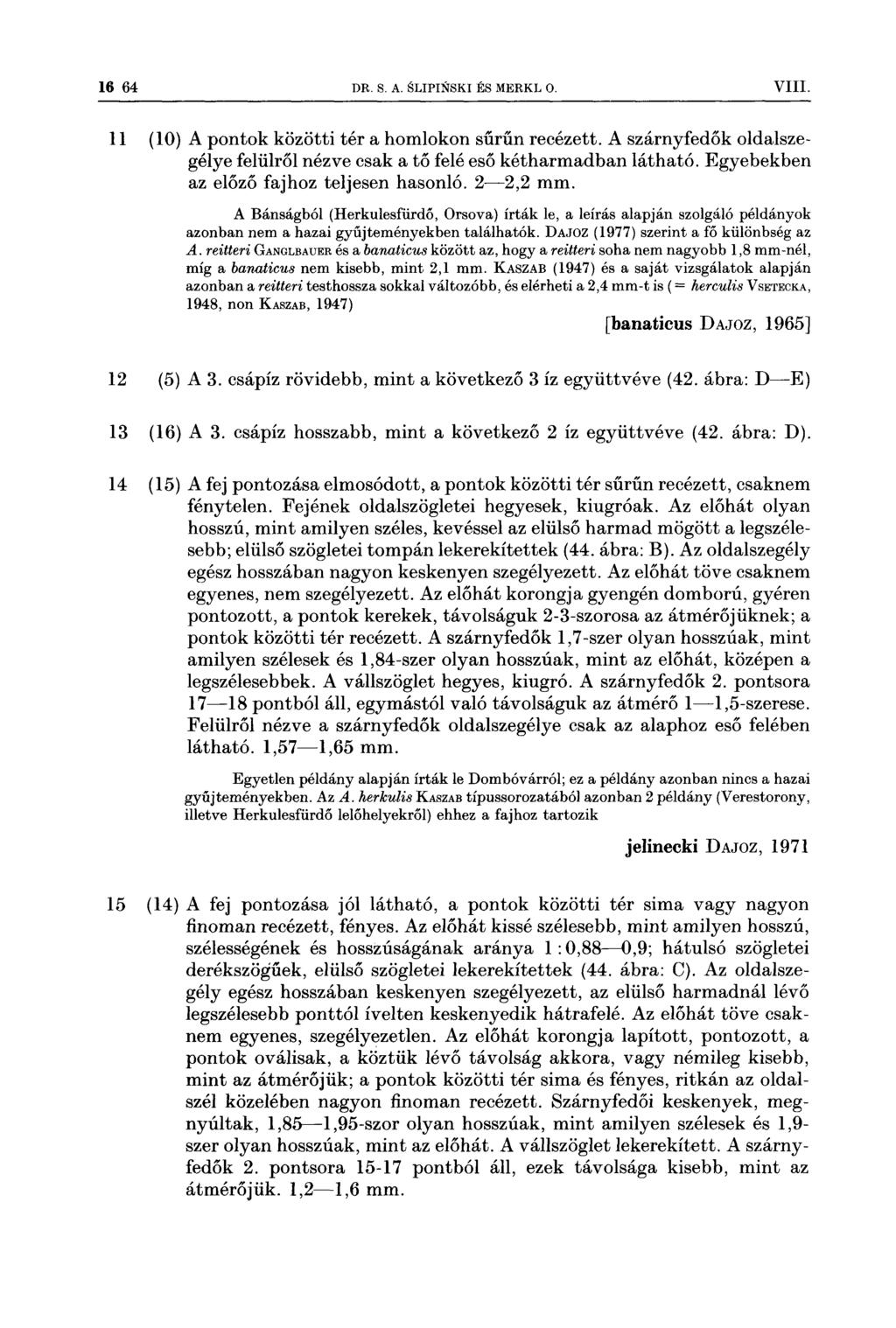 16 64 DR s A SLIPINSKI És MERKL o VIII 11 (10) A pontok közötti tér a homlokon sűrűn recézett A szárnyfedők oldalszegélye felülről nézve csak a tő felé eső kétharmadban látható Egyebekben az előző