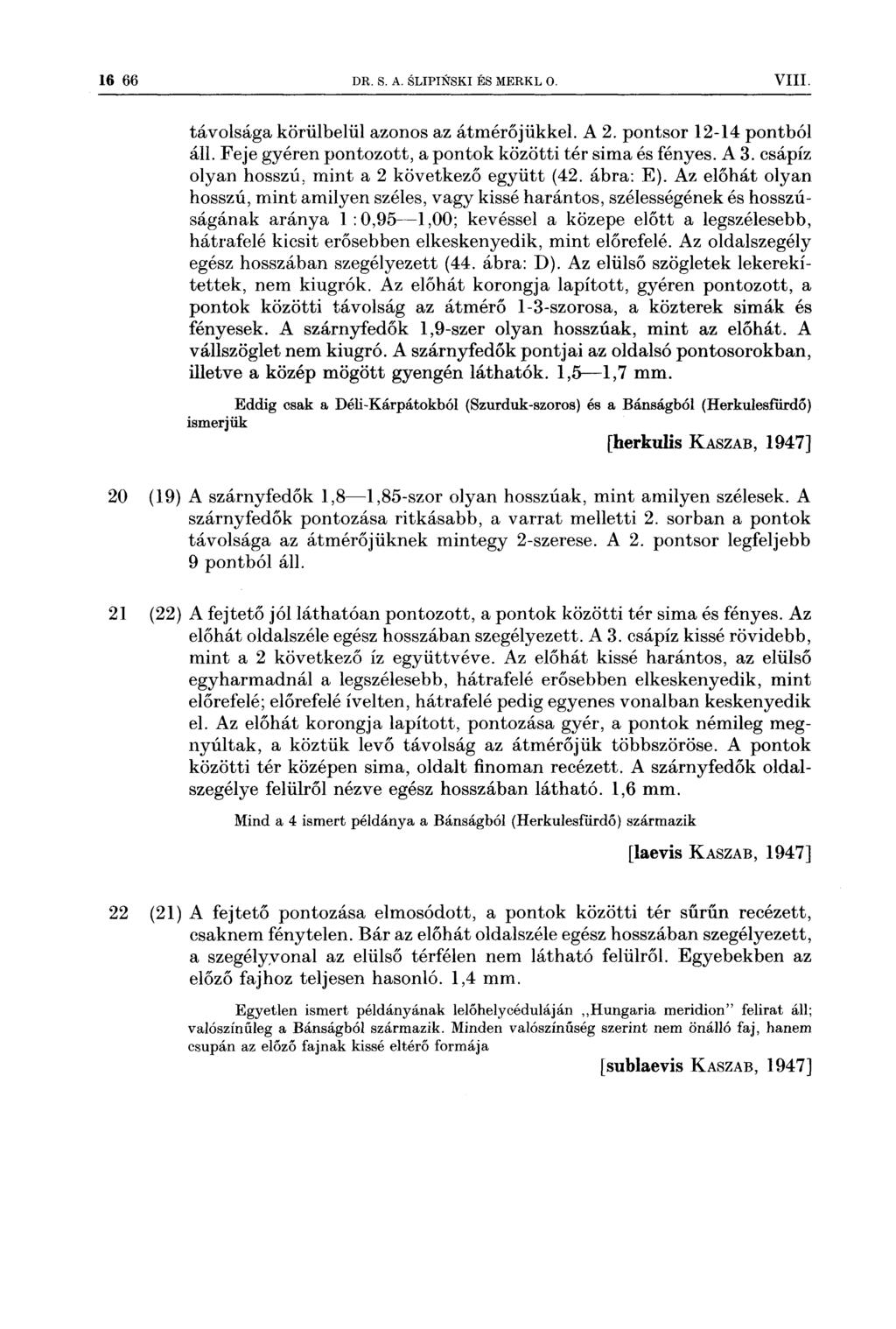16 66 DR s A slrpnš*ski Es MERKL O VIII 20 (19) 21 (22) 22 (21) távolsága körülbelül azonos az átmérőjükkel A 2 pontsor 1214 pontból áll Feje gyéren pontozott, a pontok közötti tér sima és fényes A 3