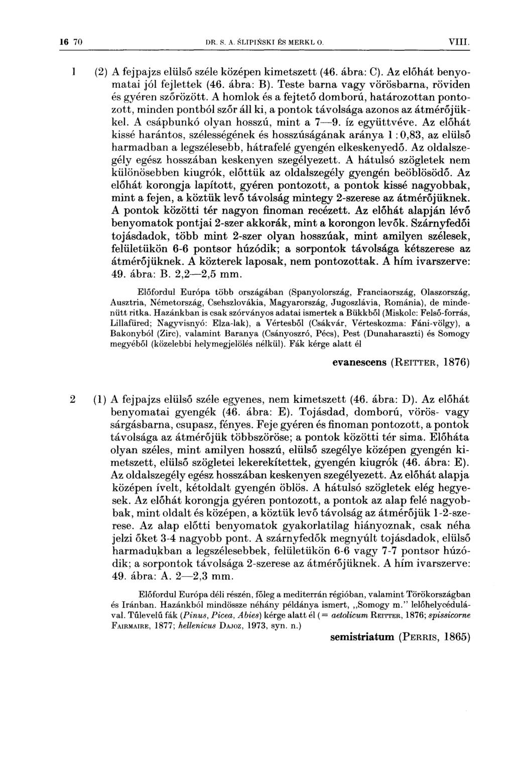 16 70 DR s A SLIPINSKI És MERKL o VIII 1 (2) 2 (1) A fejpajzs elülső széle középen kimetszett (46 ábra: C) Az előhát benyomatai jól fejlettek (46 ábra: B) Teste barna vagy vörösbarna, röviden és