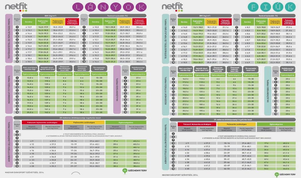 Hajlékonysági profil Ütemezett fekvőtámasz teszt Kézi szorítóerő mérése Helyből távolugrás teszt Hajlékonysági teszt Felsőtest izomereje Kéz maximális szorító ereje Láb robbanékonyereje
