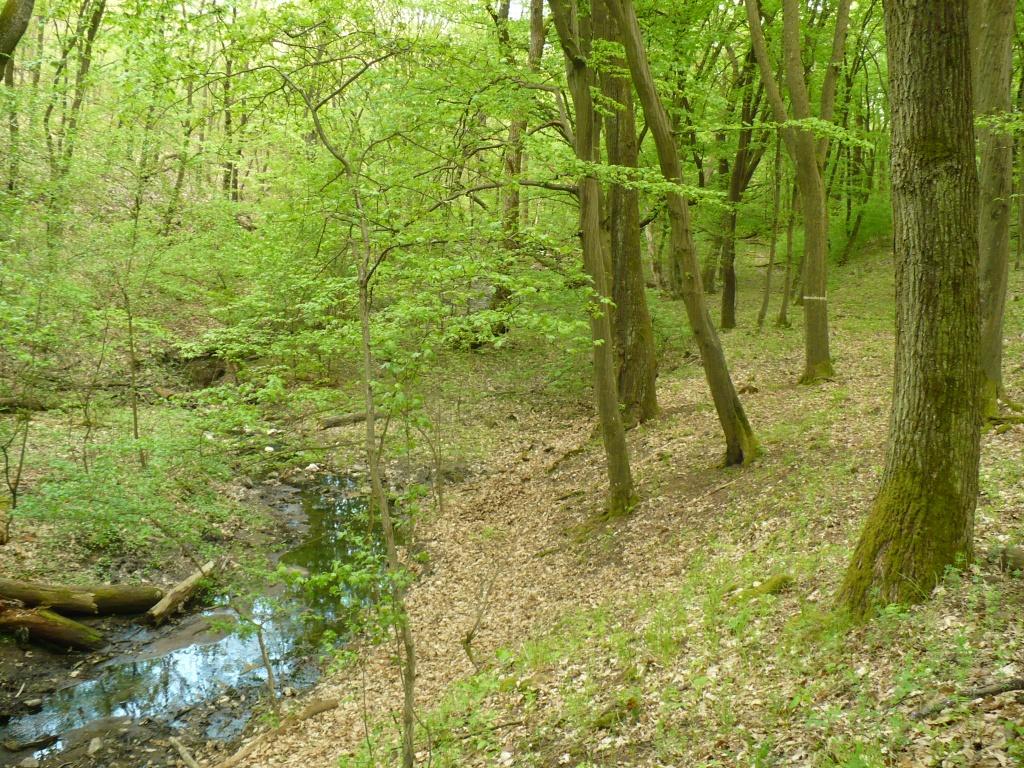 7. kép: A fokozottan