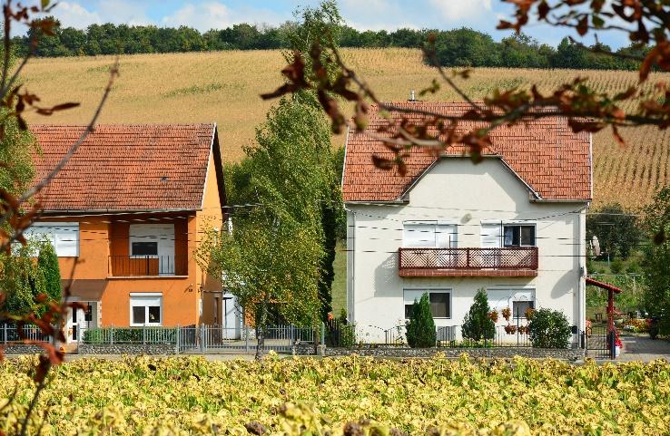 A rendszerváltás után a szövetkezetek megszűnésével és a bányák bezárásával az itt élő emberek jelentős része