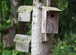 madaraknak és a denevéreknek. A biodiverzitást támogatandó további fészkelőodúkat és madáretetőket rakunk ki a cég területén.