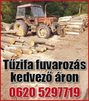 üzlet, li atolóajtó, szervokormány, légzsák, elektrofolyosó végénmanuális (a Ruhadoktorklíma, mellett) fedélzekartámasz, légzsák, ISOFIX Ha rendszer, nem kapja adar, Szuperinfót, ti komputer,