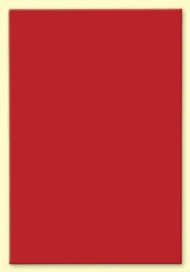 piros Nett Front Kft. 5650 Mezõberény, Gyomai út 26.