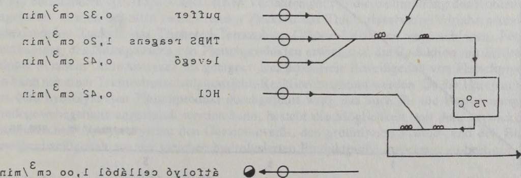Sajnálatos módon, a szakirodalomban leírt eljárást (7) alkalmazva, az egyes aminosavak reakciósebessége nagyon eltért egymástól.