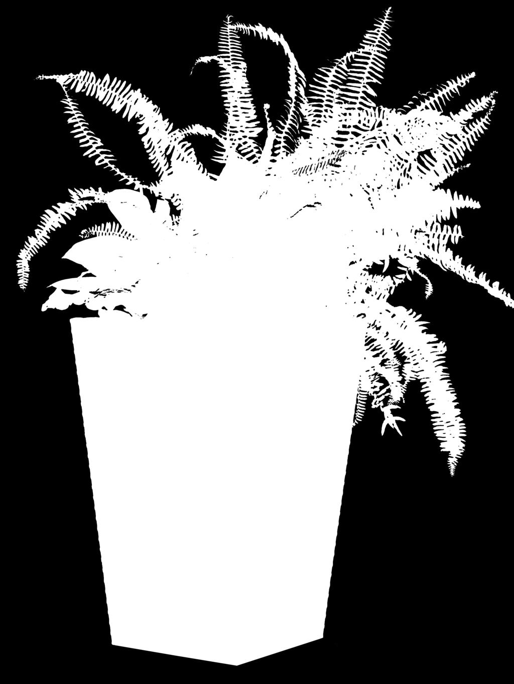 19 cm-es; ár: 1.