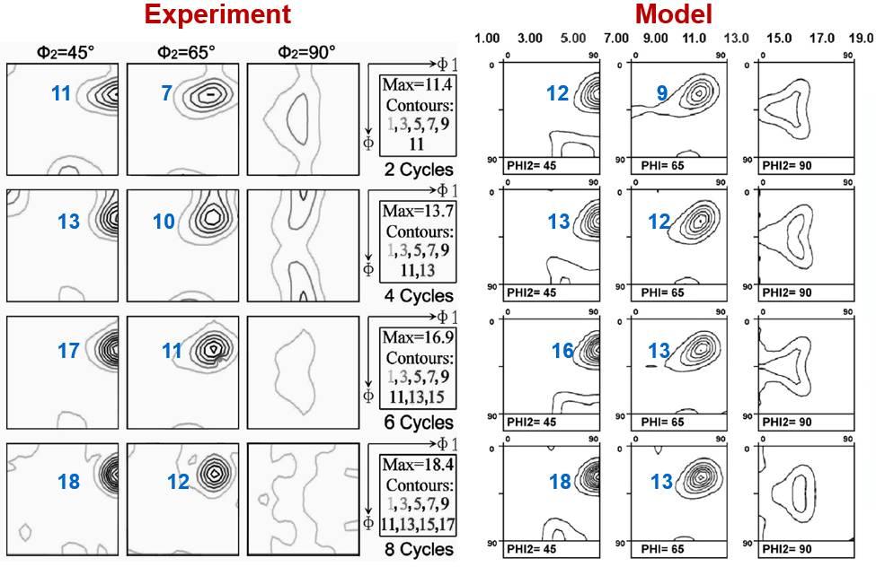 Fig.14. Comparison between the experimetally observed ODFs in AA3003 alloy after different ARB cycles and textures calculated with the ALAMEL model [SP17].