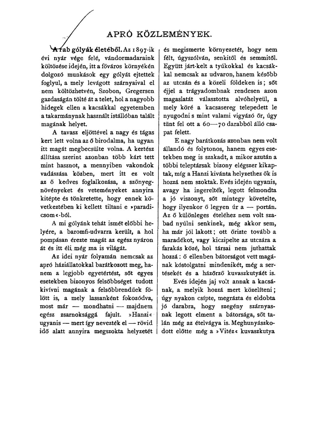 APRÓ KÖZLEMÉNYEK. \torfáb gólyák életéből.