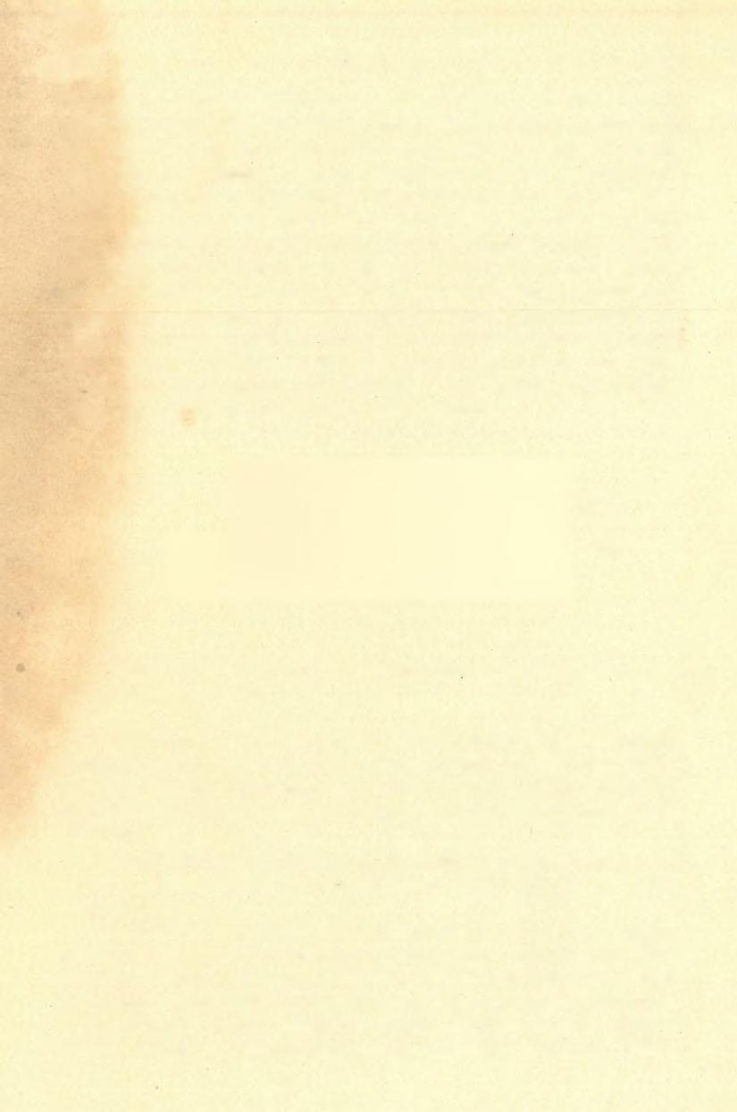 20 8 TIMKÓ IMRE. (4) jó feltárásba láthatók a Blikk-árka meredek partfalán (1-ső ábra).