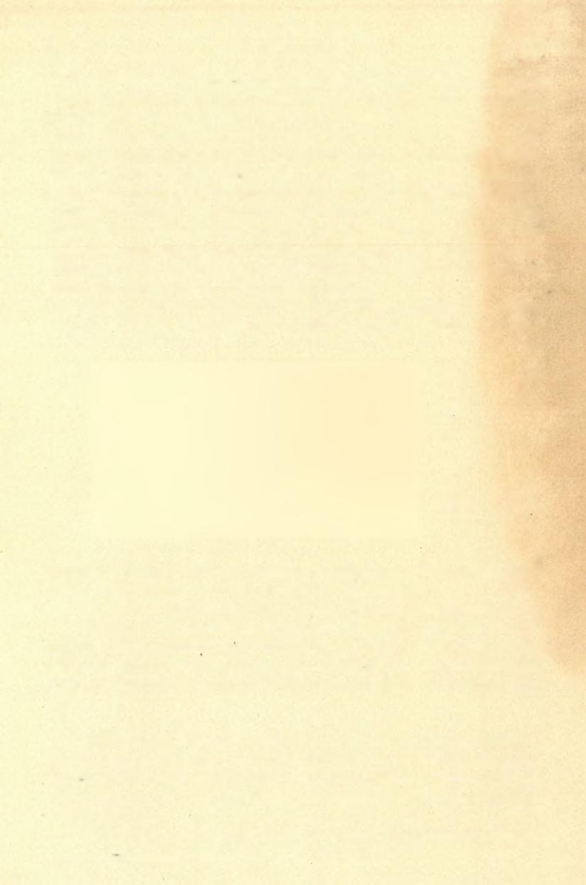 (5) FE LV ÉTE LI JELENTÉS. 2 0 9 szél s szétterítette hol vastagabb, hol vékonyabb rétegekben a harmadkori s diluvialis képződményeken. így származott a dil.