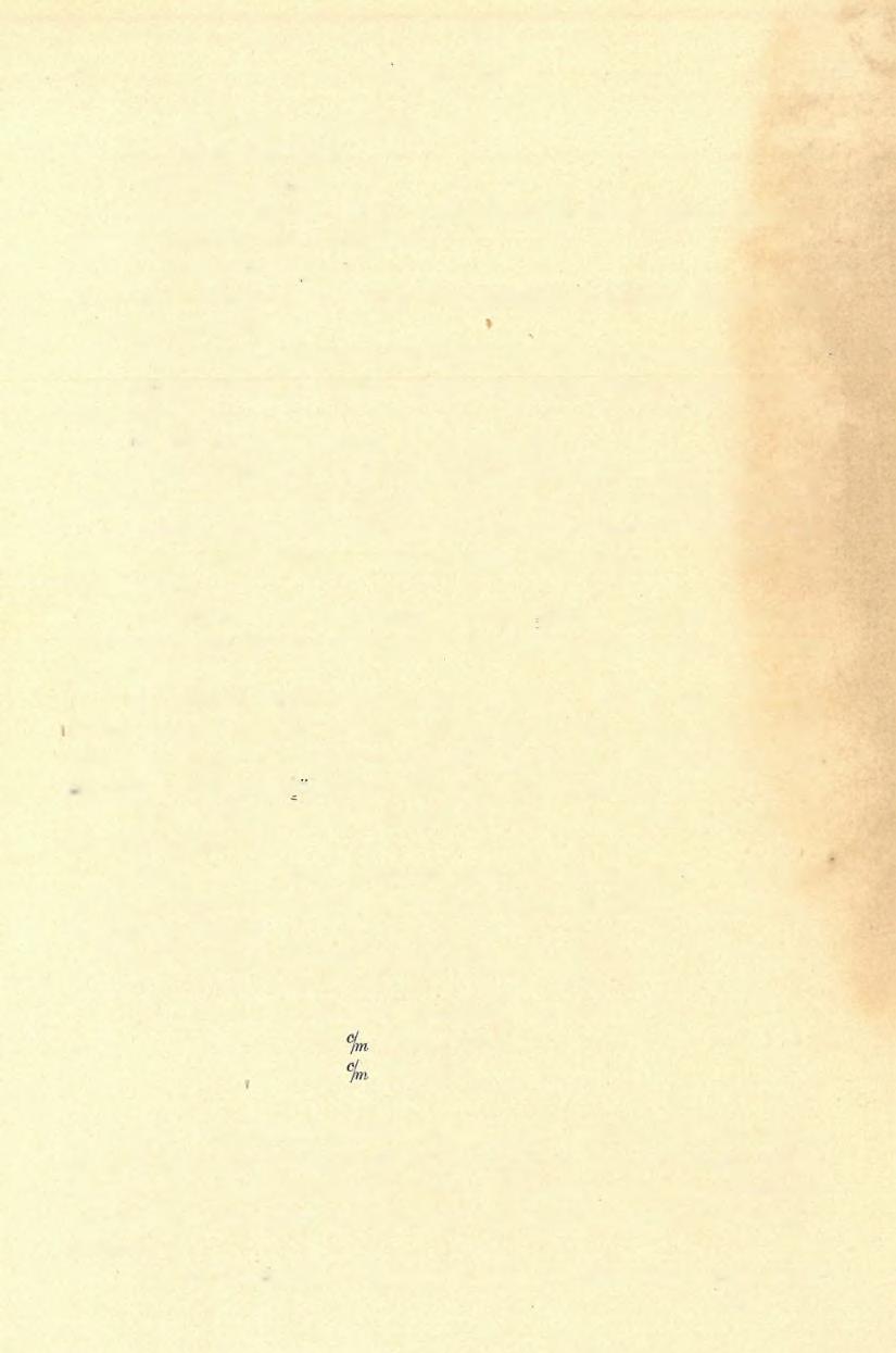 ( 7 ) FELVÉTELI JELENTÉS. 211 1. Felső-mediterrán üledékek talaja. 2. Lajtamészkő talaja.