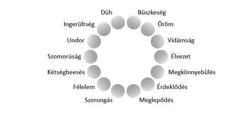 Kovács Dóra sítás alapján kimaradtak volna: ezek az undor és a meglepődés (Schegel, Grandjean,&Scherer, 2014/a). A teszt kitöltése során minden bemutatott klip után az 1.