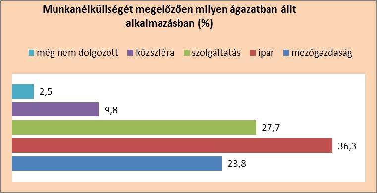 Utolsó munkahely ágazati megoszlása: Arra a kérdésre, hogy a munkanélküliségét megelőzőn milyen ágazatban állt alkalmazásban 503 fő adott választ.