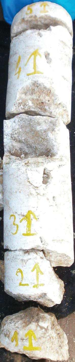 14a,b.