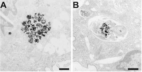 13 Fig. 2.