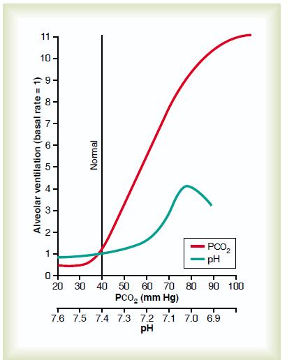 CO 2 narkózis (CO 2 a levegőben) CO 2 tartalom a levegőben normálisan nagyon kevés (0.