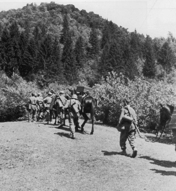 Románia 1944. augusztus 23-i kiugrása után egy hónappal a 24.