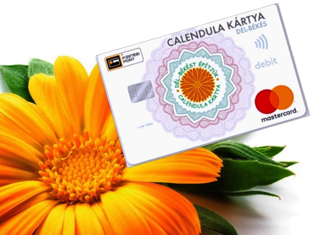 BESZÁMOLÓ KIVONAT A Dél-Békési Jövőkép Nonprofit Kft