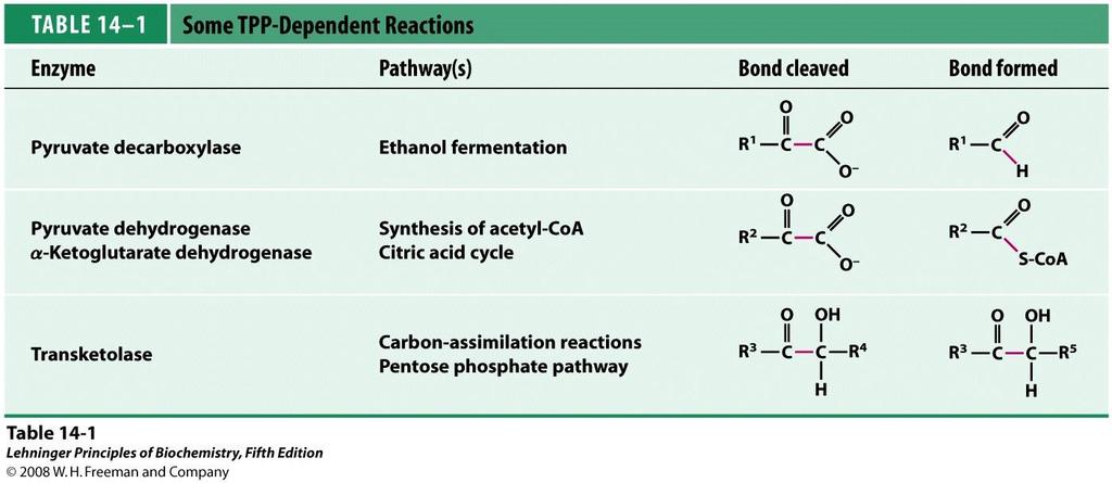 Néhány TPP-függő reakció Néhány TPP-függő reakció enzim útvonal hasadó kötés keletkező kötés piruvát-dekarboxiláz alkoholos erjedés