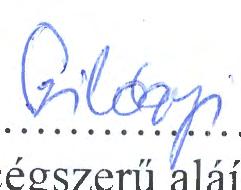 nem minősül a társasági adóról és az osztalékadóról szóló törvény szerint meghatározott ellenőrzött külföldi társaságnak, 4.