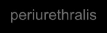 periurethralis