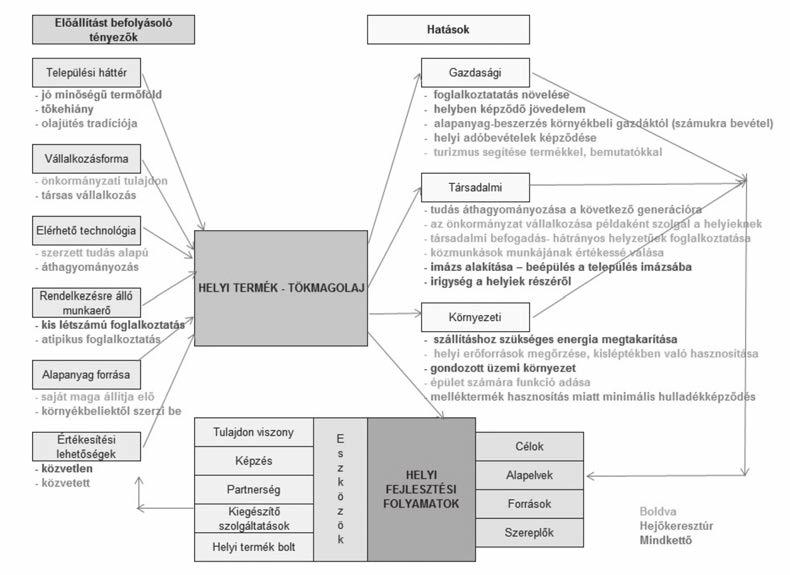 A hejőkeresztúri és boldvai tökmagolaj, mint helyi termék hatásainak rendszere Forrás: saját szerkesztés 2.