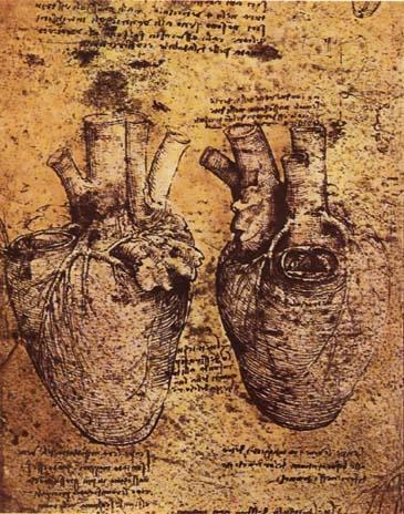 AZ ENDOCARDITIS KLASSZIKUS KÓRKÉP, DE