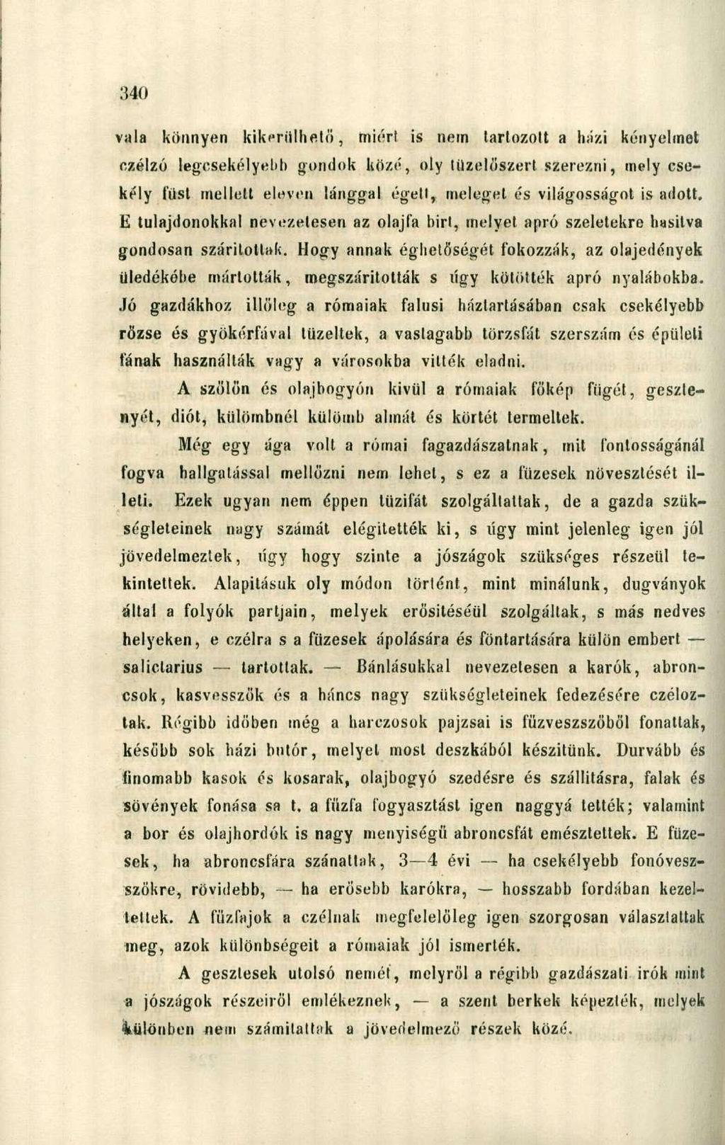 vala könnyen kikerülhető, miért is nem tartozott a házi kényelmet ezélzó legcsekélyebb gondok közé, oly tüzelőszert szerezni, mely csekély tust mellett eleven lánggal égeti, meleget és világosságot