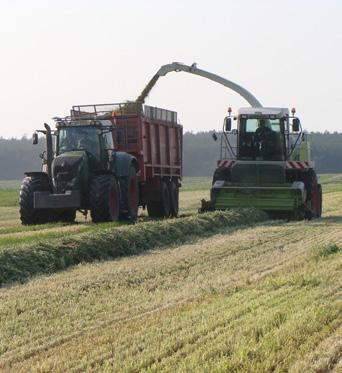 Jelen forró nyári időszakban különös jelentőséggel bír a kiválóan emészthető rostok etetése: kevesebb emésztési hő (belső hőfelszabadulás) keletkezésével nem gyötri a tejtermelő tehenet, így annak