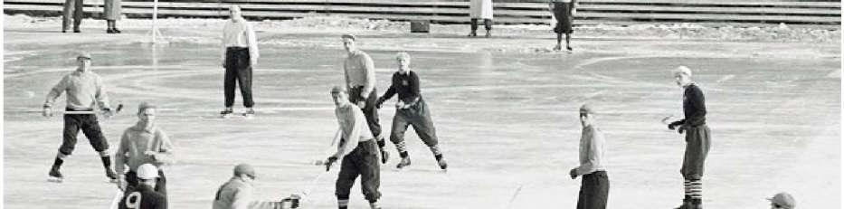 A z olimpián három nemzet (Svédország, Norvégia, Finnország) vetélkedett egymással.
