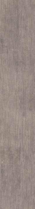 ALESSA 20x120