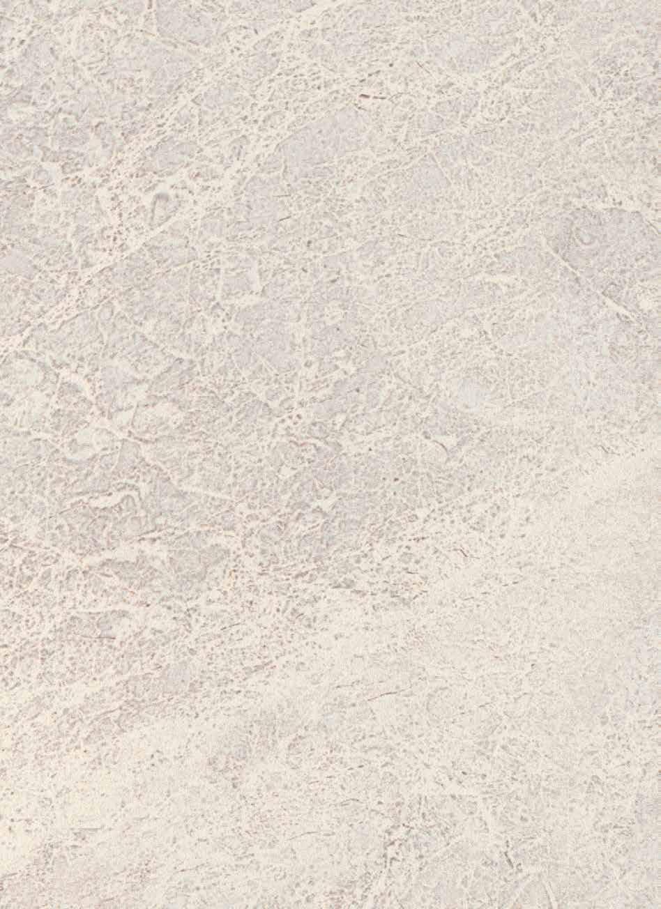 30 x 80 DUVAR VE YER KAROSU KOLEKSİYONLARI WALL AND FLOOR