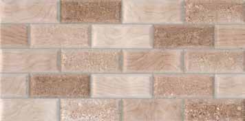 BROWN 12 x24 FACE4