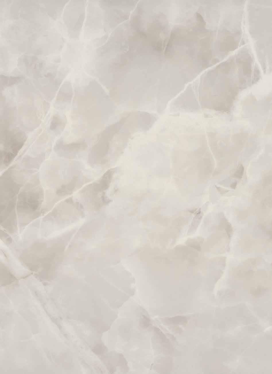 60 x 120 TEKNİK PORSELEN KARO KOLEKSİYONLARI TECHNICAL PORCELAIN TILE COLLECTIONS