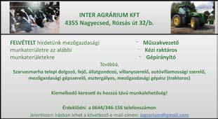 2019. március 8.