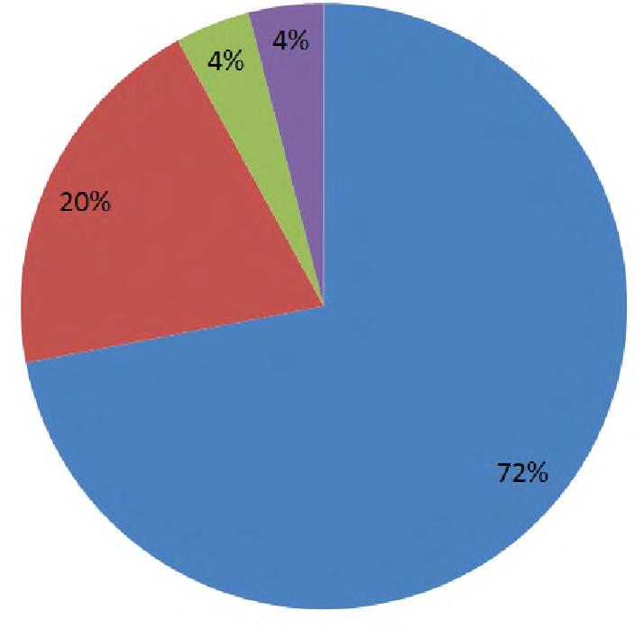 Ajesareko ko gráfico circular rehe omombe úva mboypa oí oipurúva Paraguái ñe enguéra (censo 2002) ha