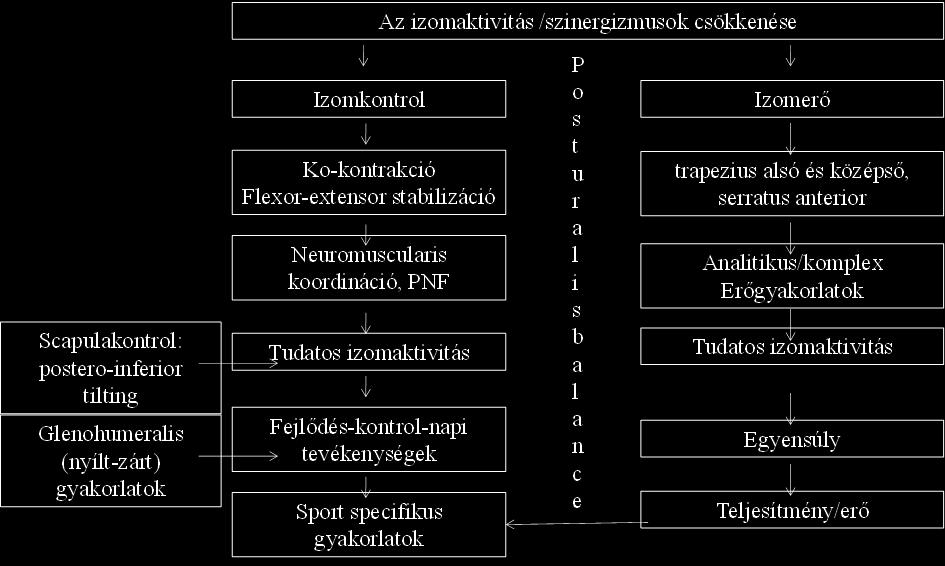 instrumentumául (E. Kovács É.). Aerobik Az aerobik sportág az aerob, azaz oxigén jelenlétében végzett munkavégzésről kapta a nevét.