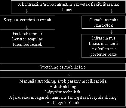 Ez a rész magába foglalja a törzsizmok nyújtását és erősítését, illetve a testtartásbeli rendellenességek korrigálását.