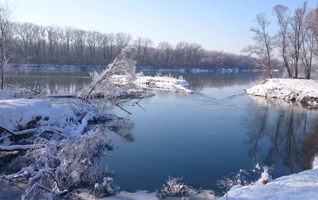 A Duna-Dráva Nemzei Park Igazgatóság hírlevele 2018. december AKTUÁLIS Ünnep Az év vége az ünnepek mellett mindig az összegzés, a visszatekintés időszaka is.