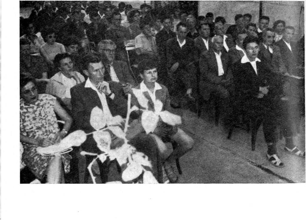 A hallgatóság