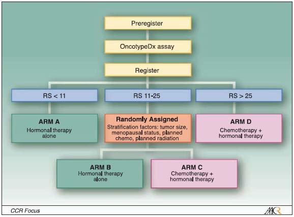 TAILORX az OncotypeDX prospektív validációja N=11,248 ER+/N- Low RS: Hormon Terápia High